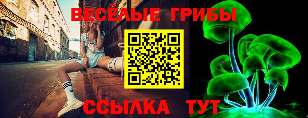 Жуковский  где продают   Вход с VPN  Псилоцибиновые грибы Cubensis 